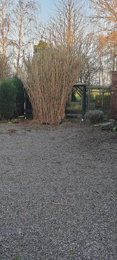 Studio Black Hazebrouck Exterior foto
